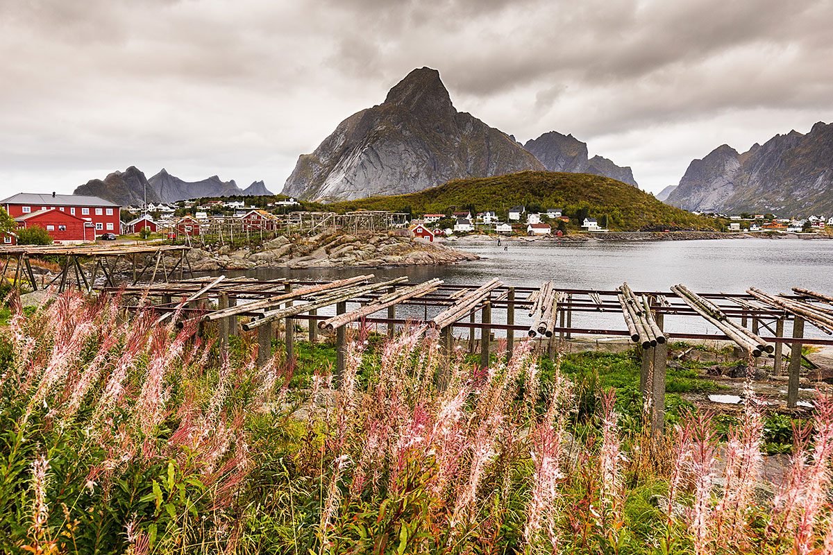 Norway - Lofoten Islands - Reine