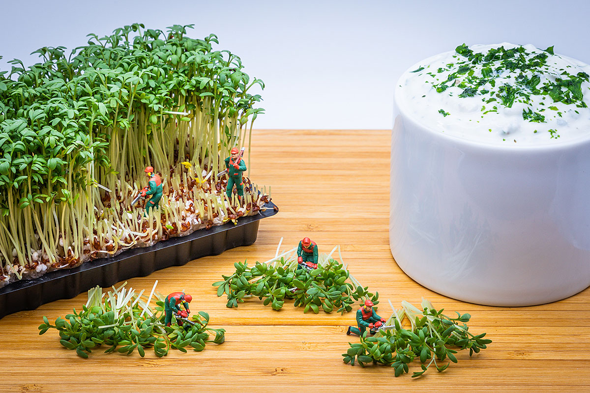 The little things in life