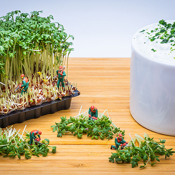 The little things in life