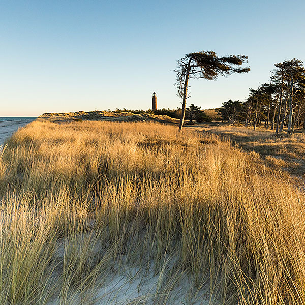 Darßer Weststrand