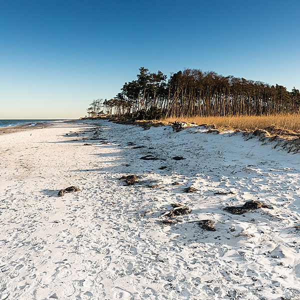 Darßer Weststrand