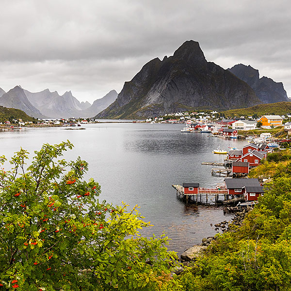 Reine & Hamnøy