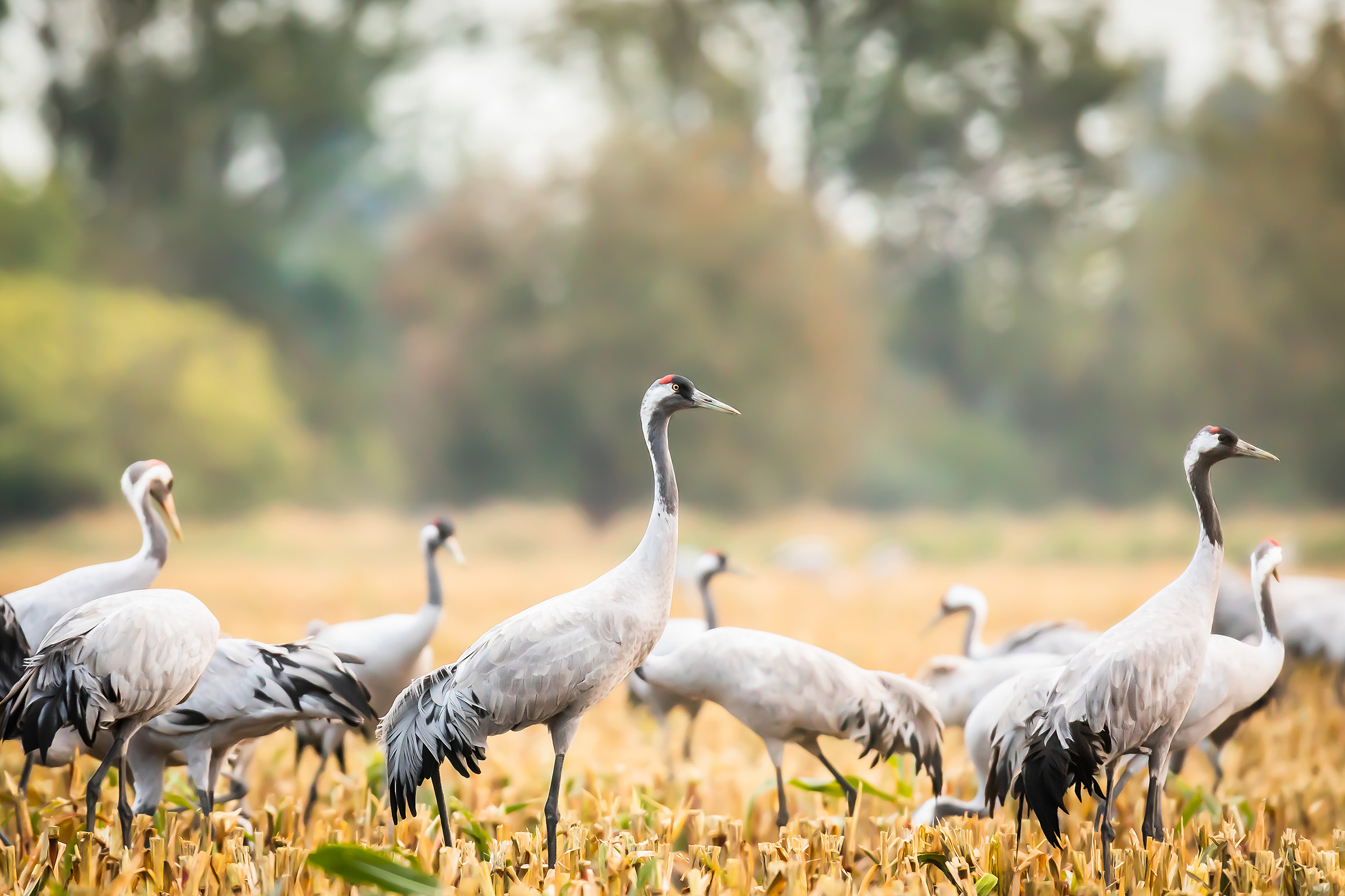 Stefan Böttcher Photography 4