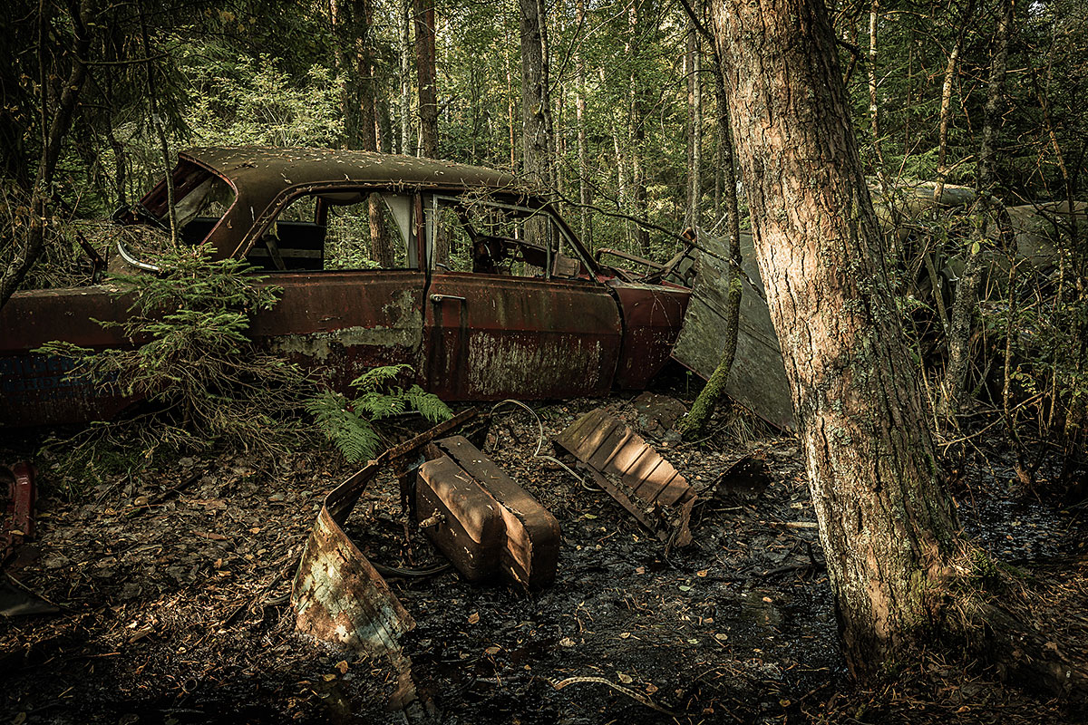 Automobile Graveyard