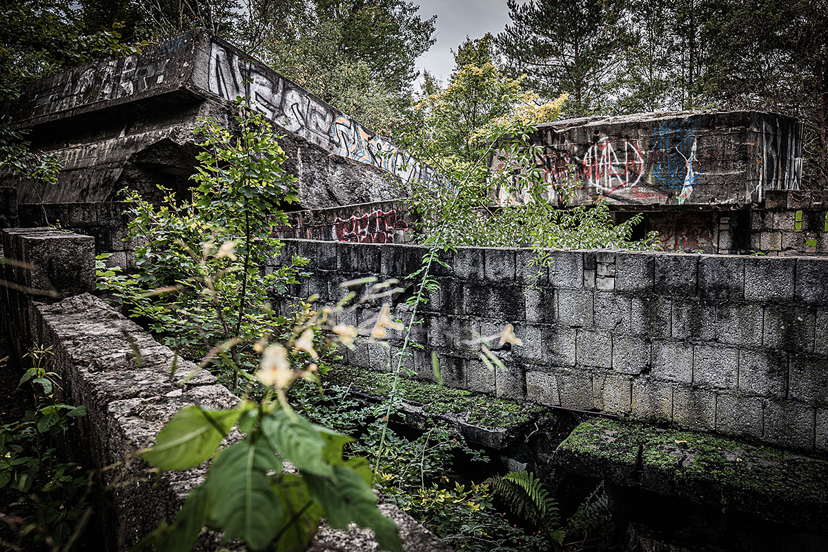 Bunker Ruins